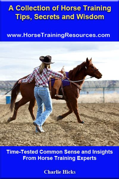 horse tips gg|Today's Top Tips .